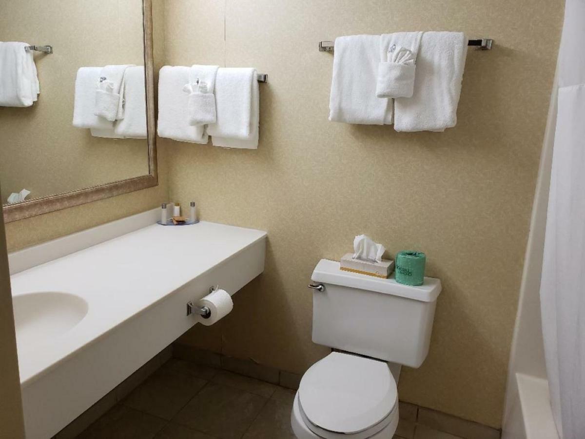Chateau Resort & Conference Center טנרסוויל מראה חיצוני תמונה